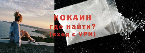стаф Аркадак