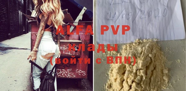 стаф Аркадак