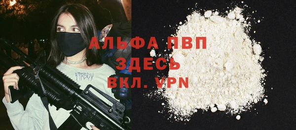 стаф Аркадак