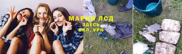 стаф Аркадак