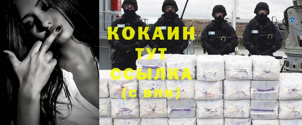 стаф Аркадак